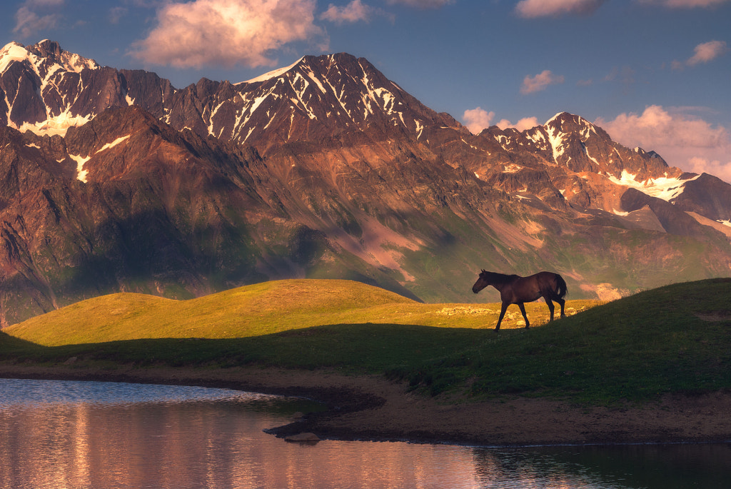 One moment in time... by Soso Meladze on 500px.com