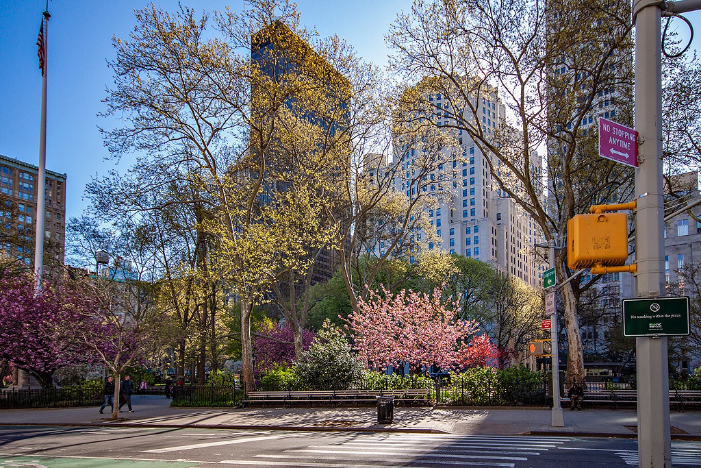 New York, Worth Square by Francisco Díaz de Castro on 500px.com