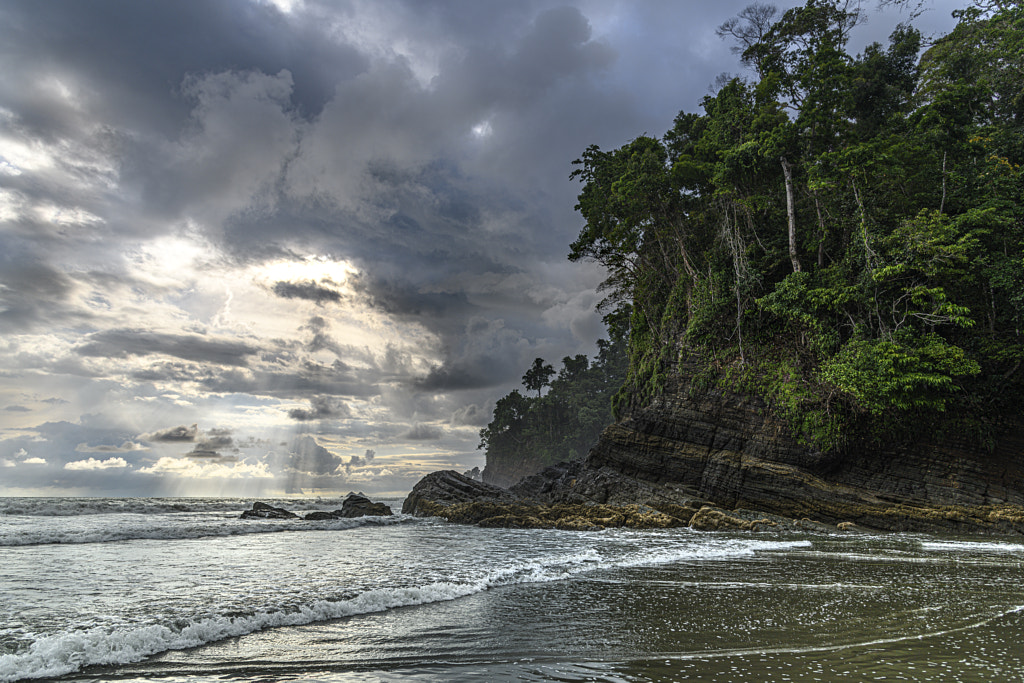 Rain forest meets ocean by Mark Bennett on 500px.com