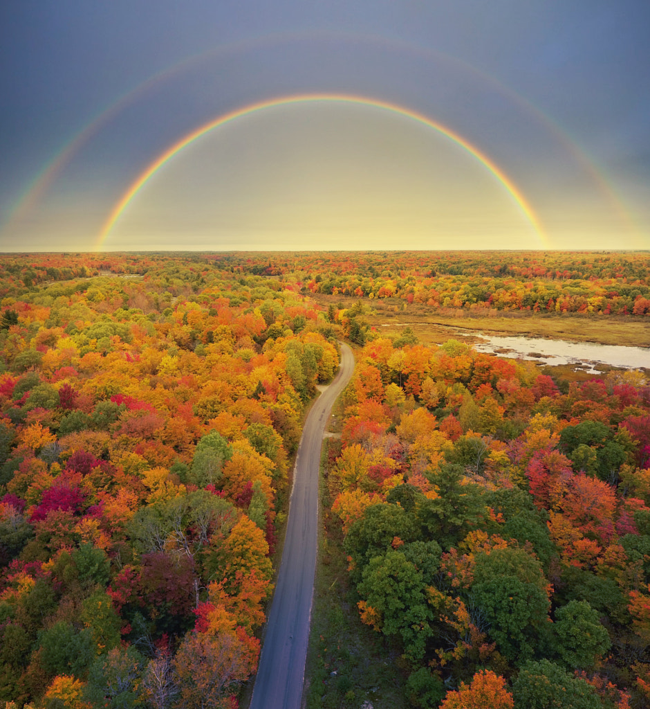 Fall Colours of Muskoka by Elnaz Mansouri on 500px.com