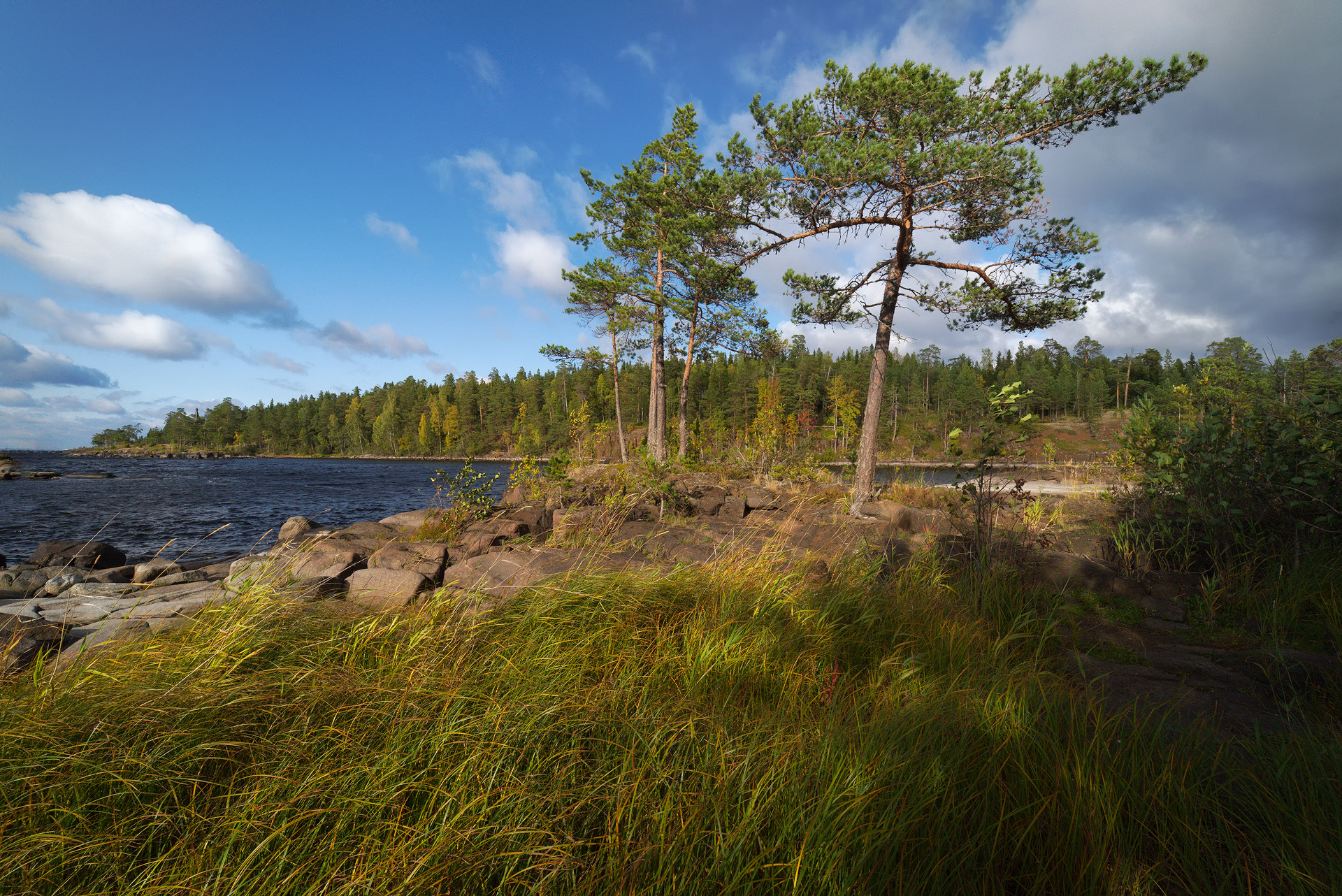 Autumn's breath. Valaam islands. _4