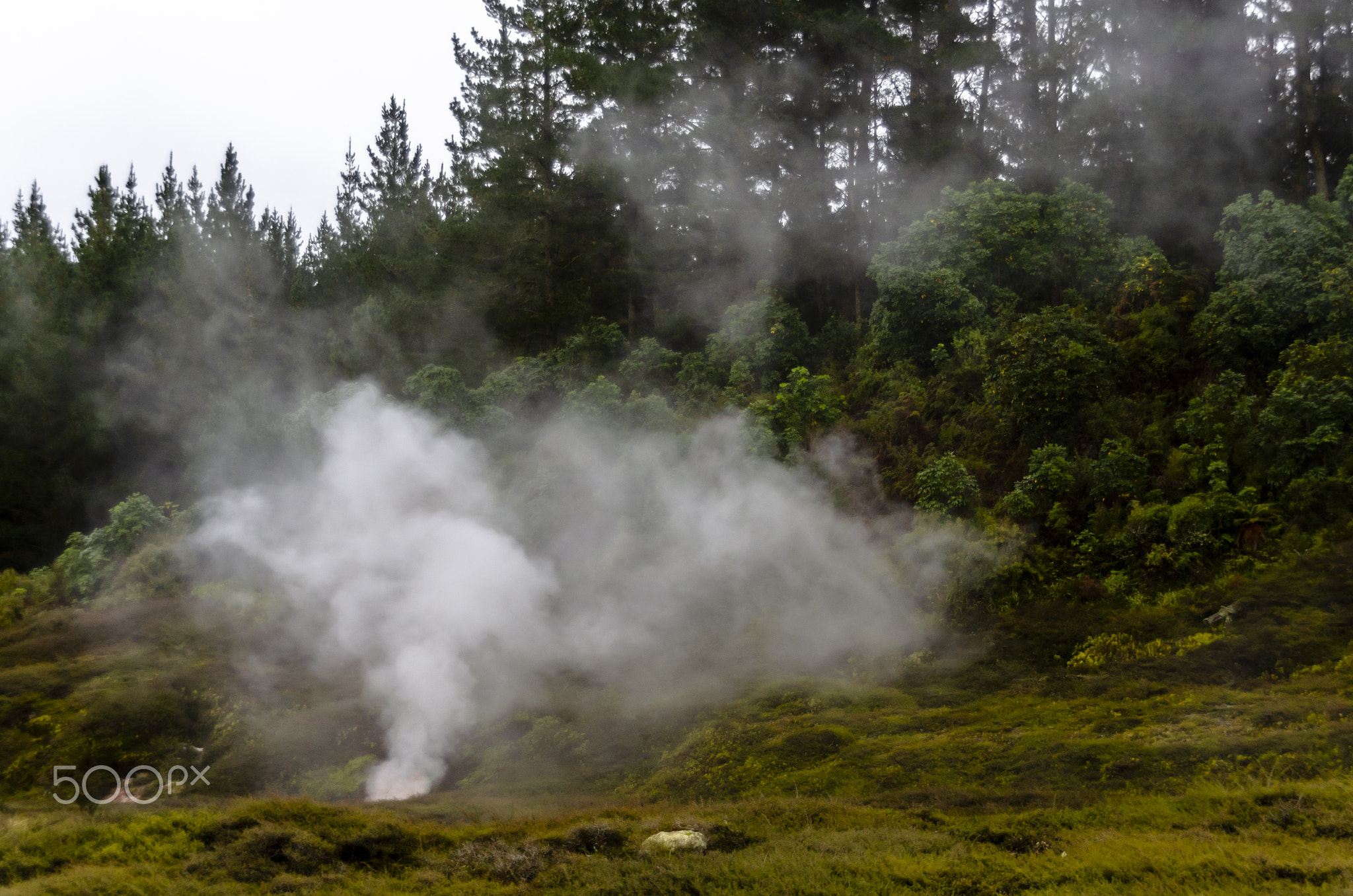 Steam from geothermal fields of Craters of the Moon, Taupo, New Zealand