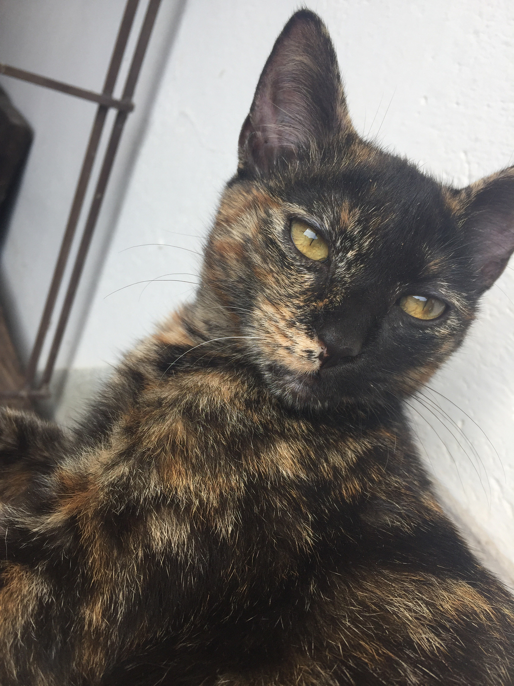 Non si tratta di cambiare il mondo. Si tratta di fare del nostro meglio per lasciarlo così com’è.