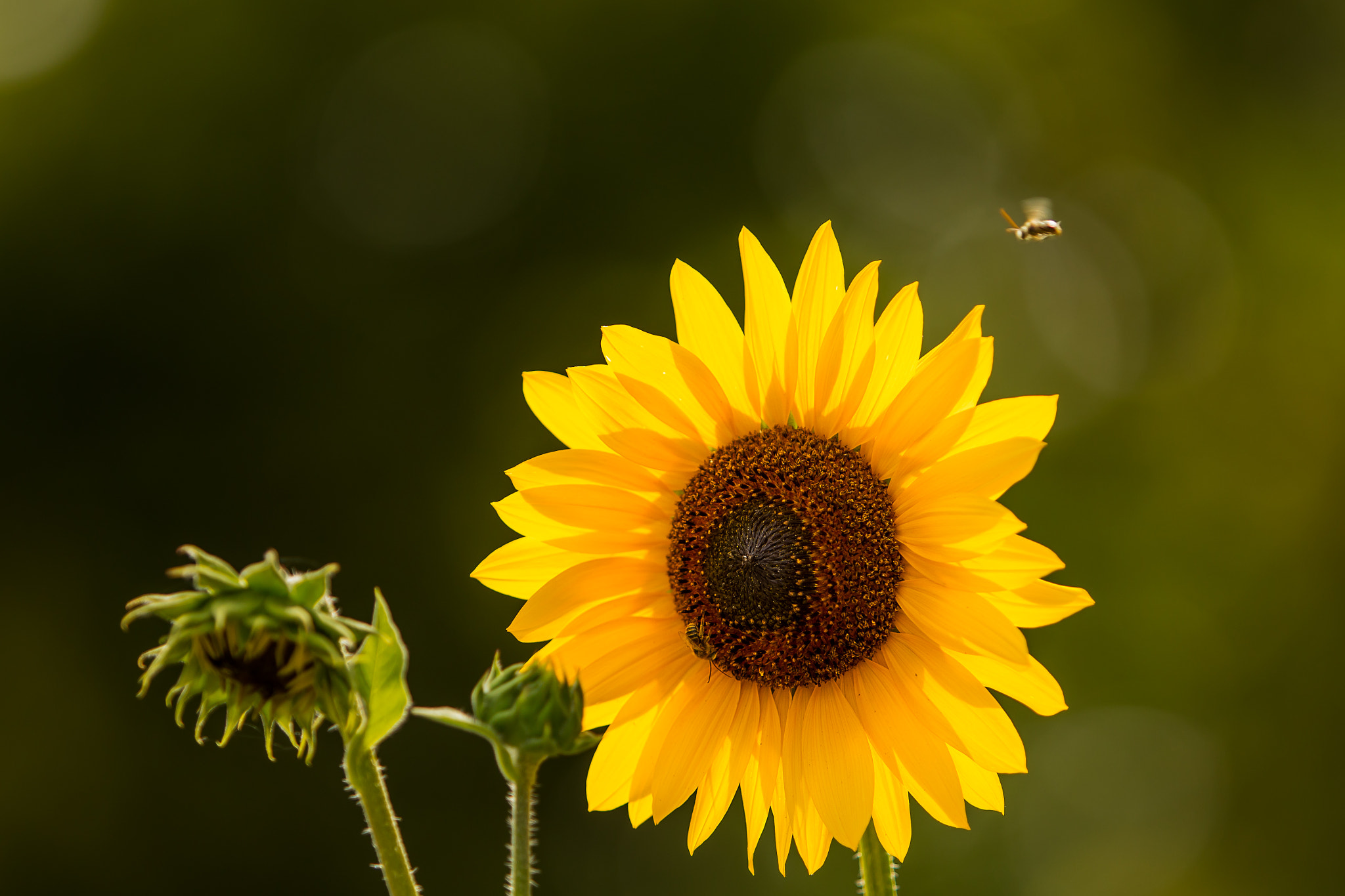 Morning by Benjamin Ngoma on 500px.com