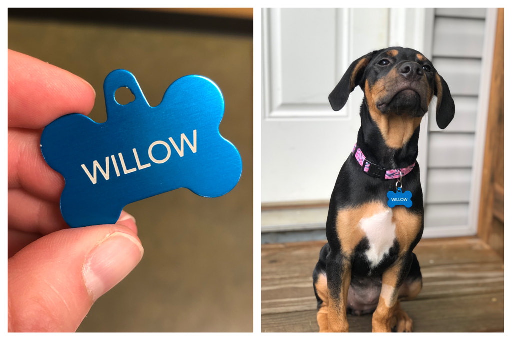 Untitled by Jacqueline and Kevin Reape on 500px.com