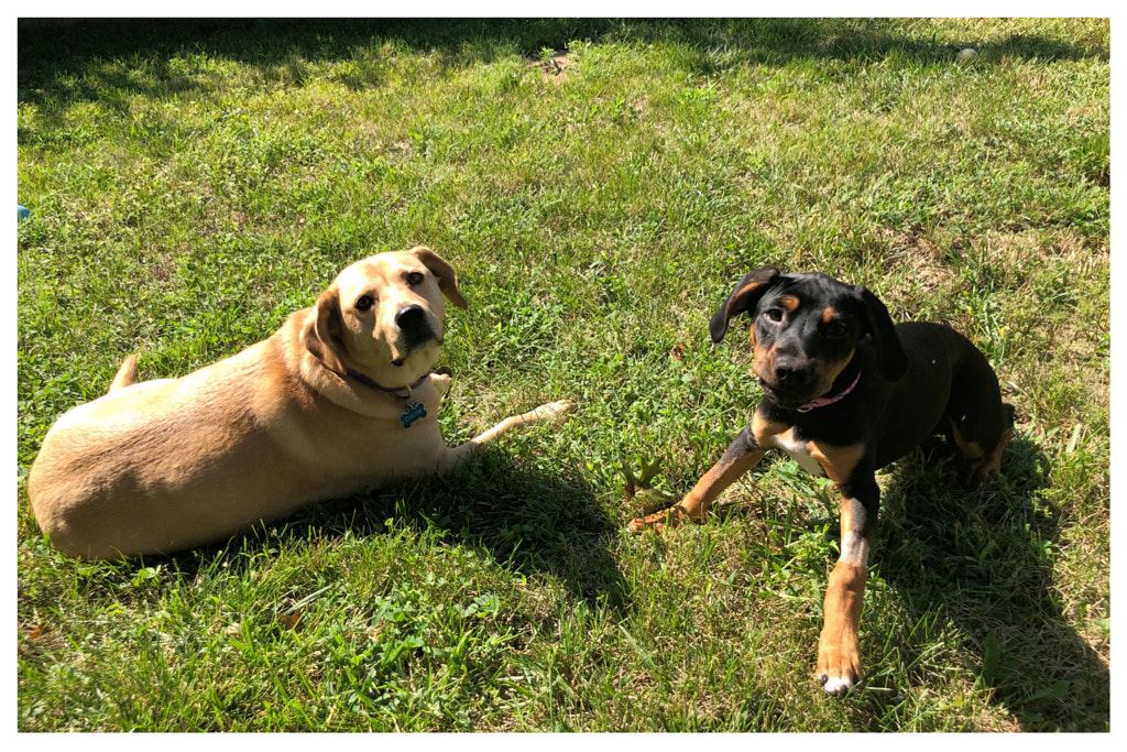 Untitled by Jacqueline and Kevin Reape on 500px.com