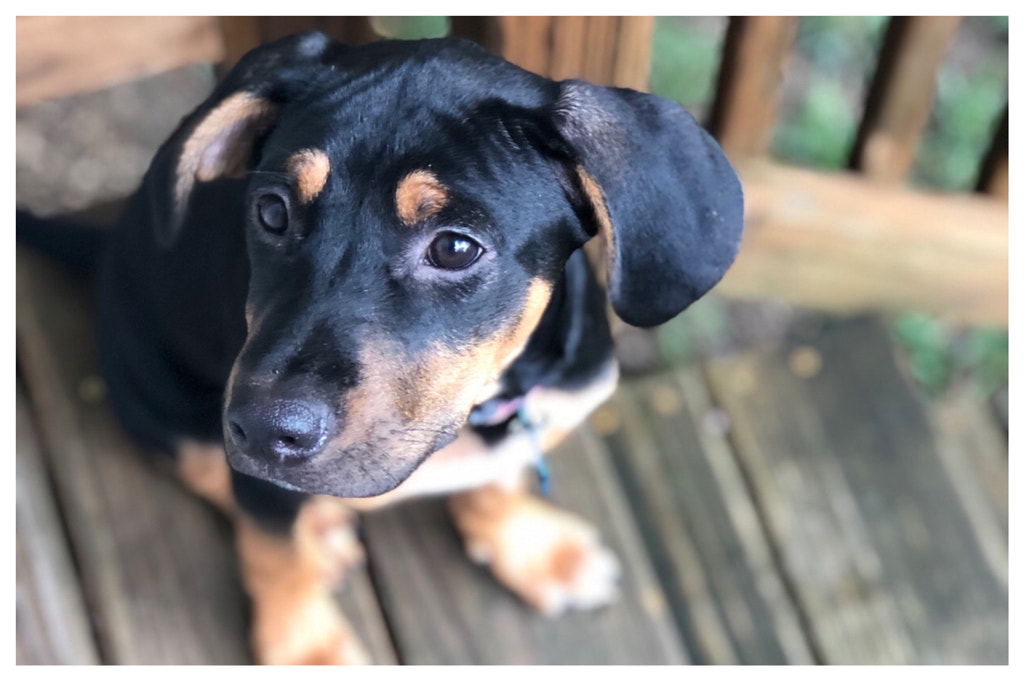 Untitled by Jacqueline and Kevin Reape on 500px.com