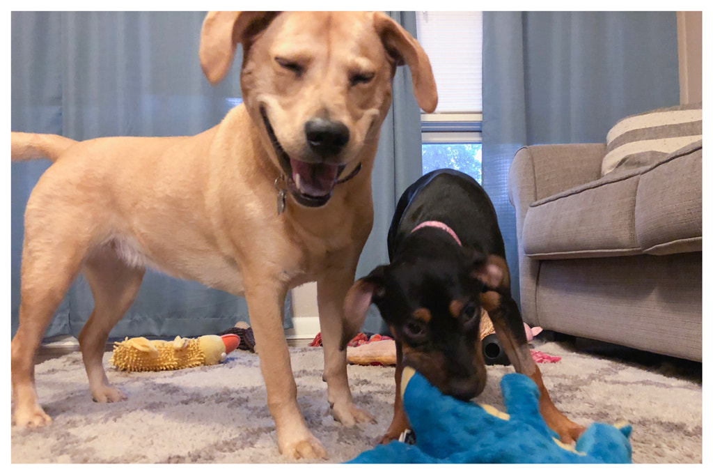 Untitled by Jacqueline and Kevin Reape on 500px.com