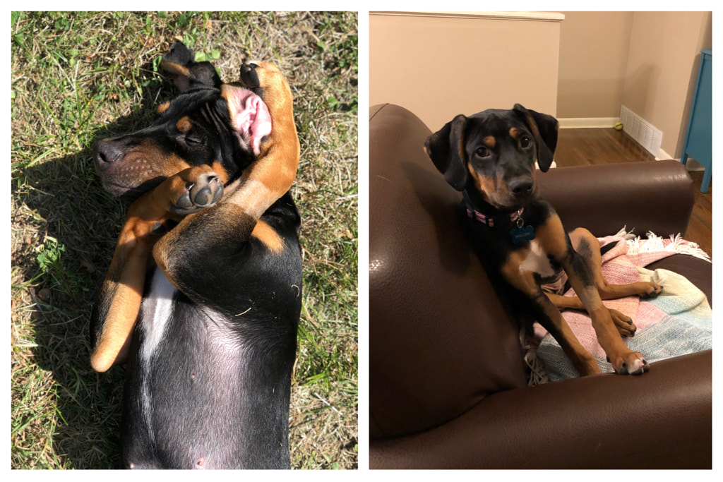 Untitled by Jacqueline and Kevin Reape on 500px.com