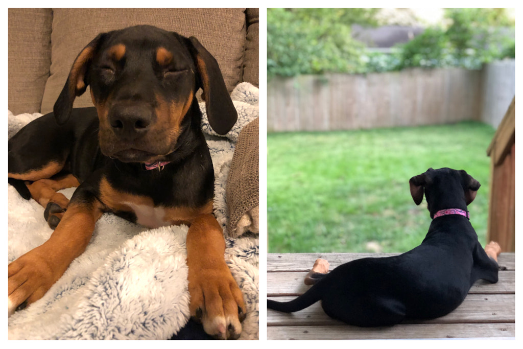 Untitled by Jacqueline and Kevin Reape on 500px.com