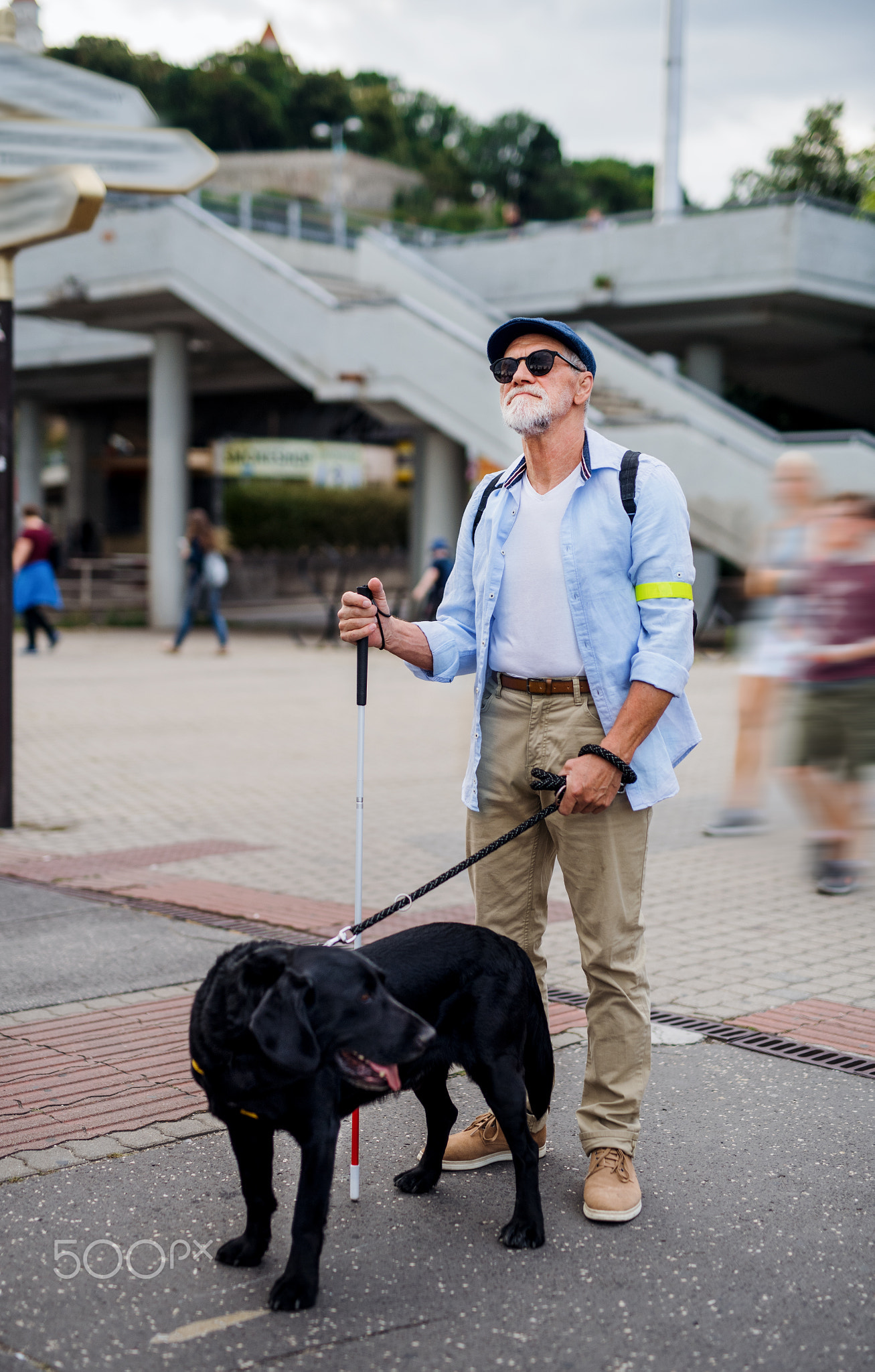 Senior blind man with guide dog standing outdoors in city.