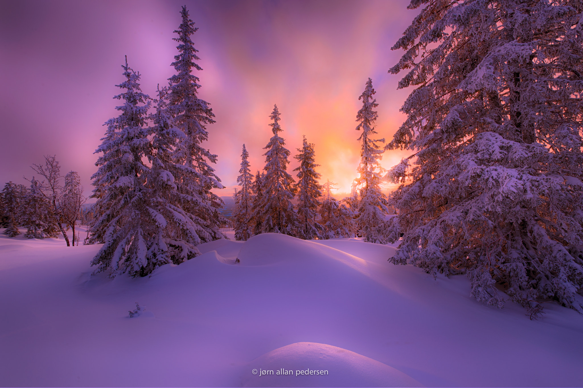 Purple afternoon by Jørn Allan Pedersen / 500px