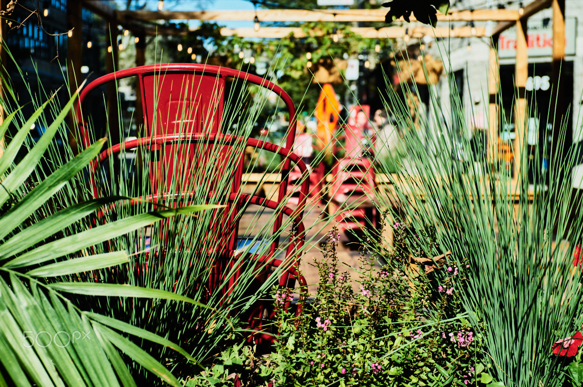 Red in Green