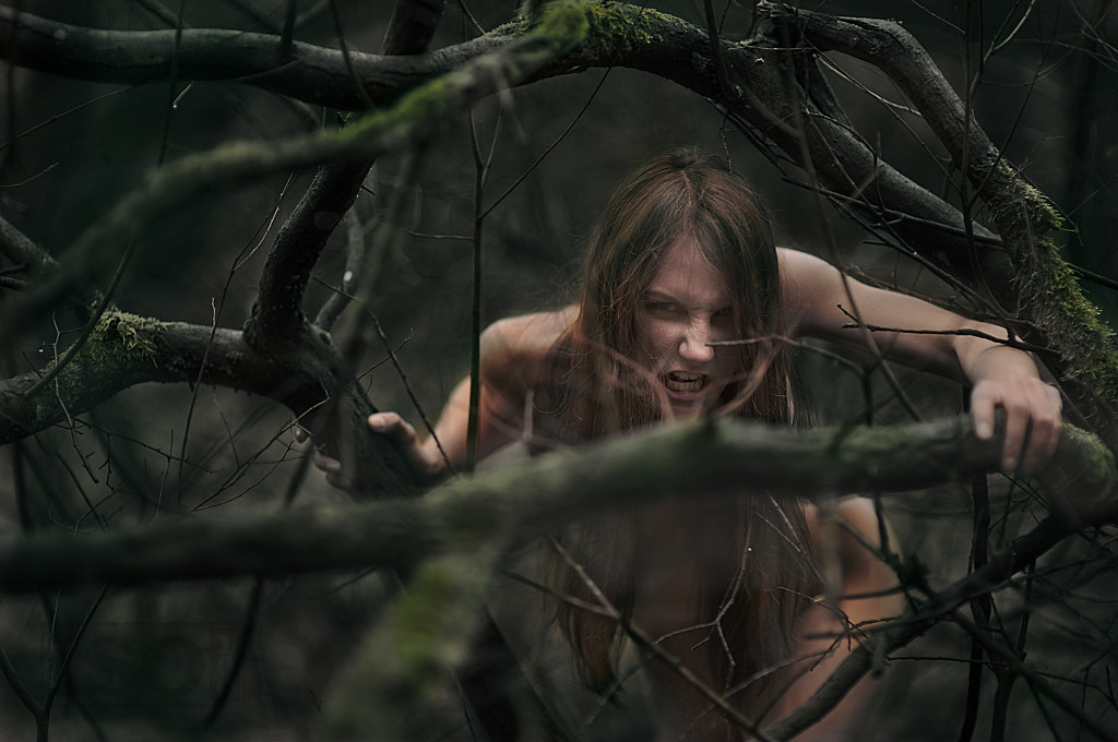 Der Ruf der Wildnis by fotovoyage on 500px.com