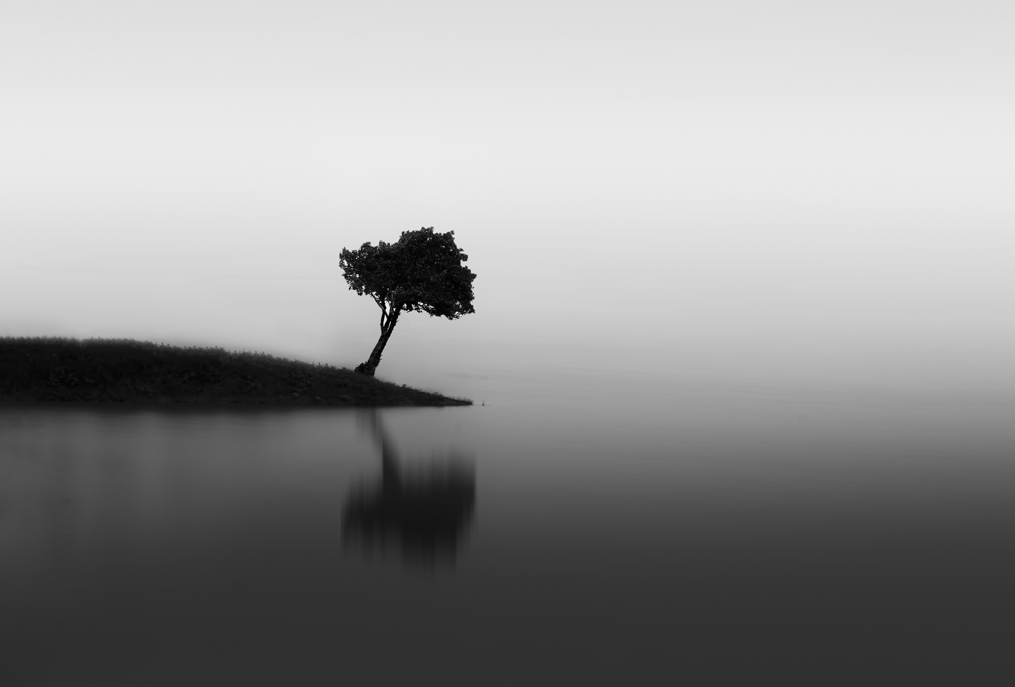 Bnw