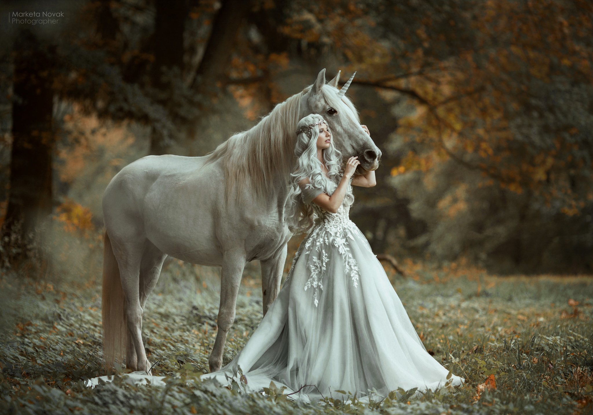 Autumn unicorn by Marketa Novak / 500px