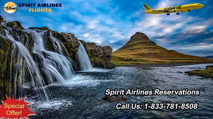 Spirit Airlines Reservations