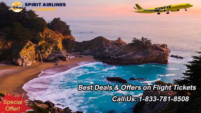 Spirit Airlines Reservations 