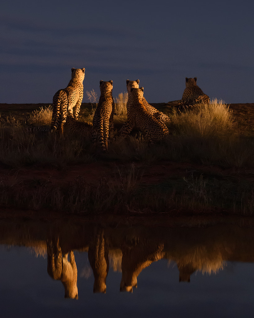 Dinner At The Horizon by Marsel van Oosten on 500px.com