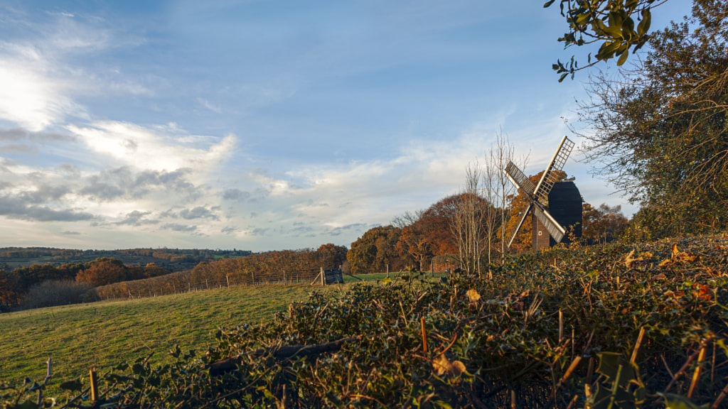 IMAGE: https://drscdn.500px.org/photo/1004346362/m%3D900/v2?sig=9c3cbbafc7aa2614e6b138410fe84c5bff6426dfeb6369bccc55993ddfeb1175