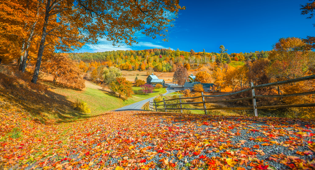 Autumn at Sleepy Hollow Farm, Vermont by John S on 500px.com
