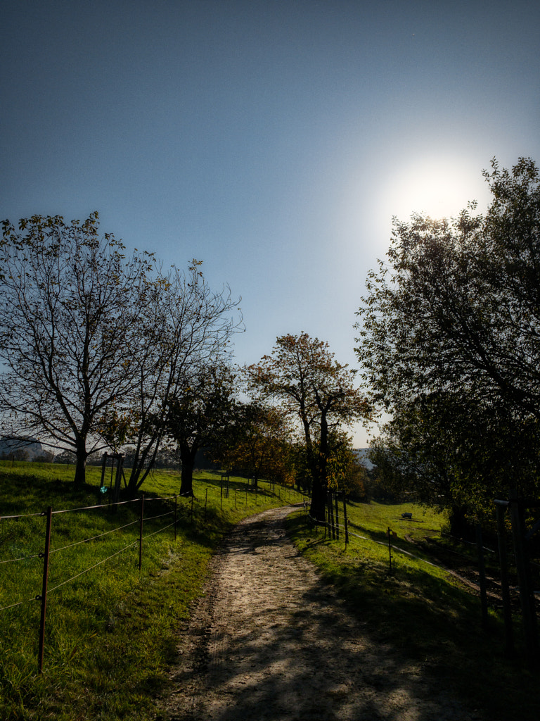 path by dirk derbaum on 500px.com