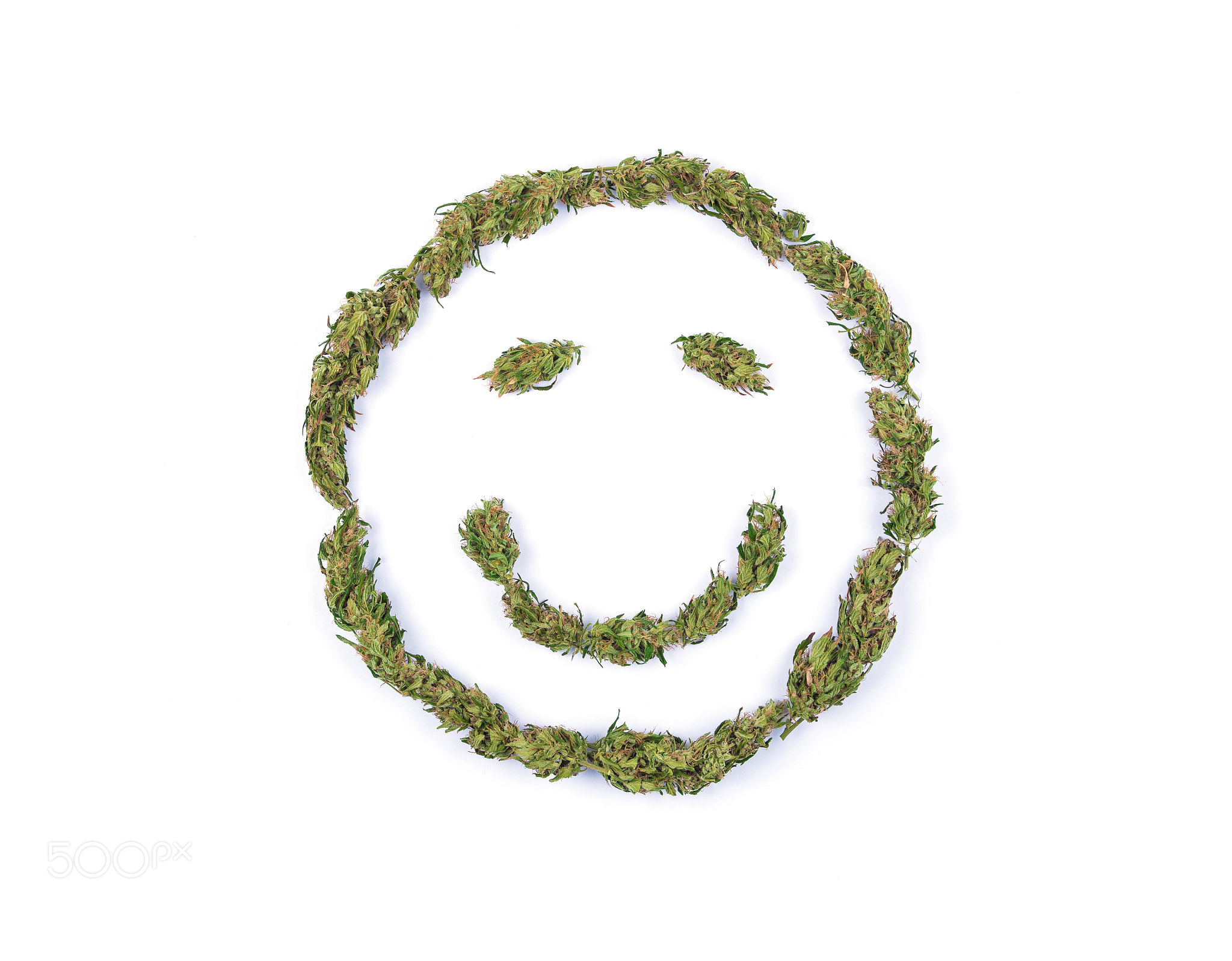 Smile symbol made of fresh green marijuana flowers or buds on white background.