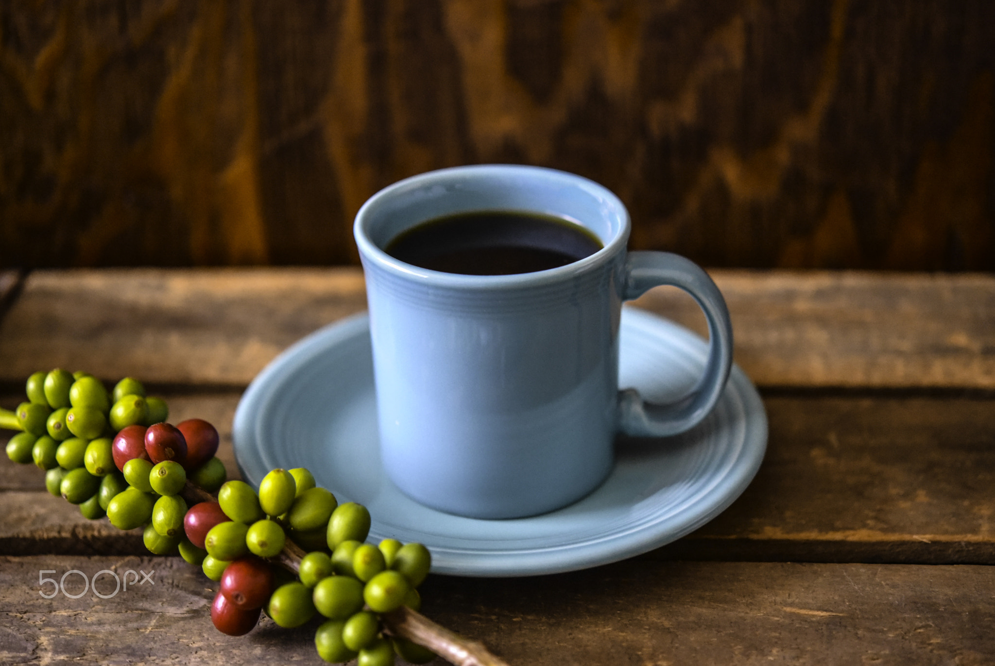 Raw Coffee Beans and a Fresh Brewed Coffee