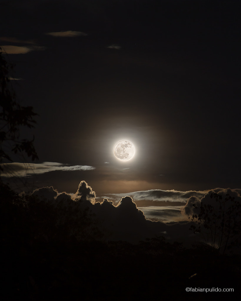 Hunter's Moon by Fabian Pulido Pardo on 500px.com