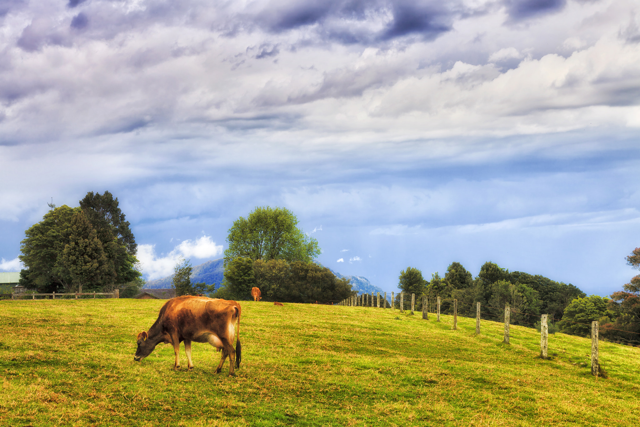 Alpine diary