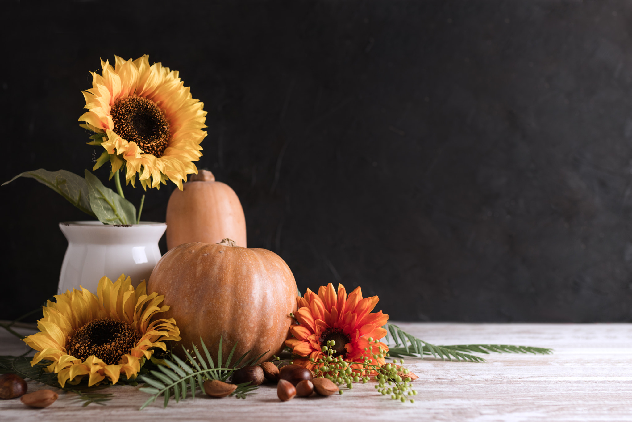 Autumn still life with pumpkin, sunflowers on a vase, orange flowers and nuts front view. Autumn con