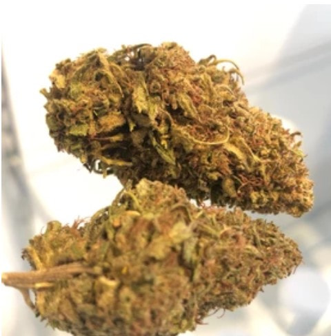 v2?sig=a7da9384e6457299106c91f271262e4059dd5ffc8d798bc71130bb0c84274b5d