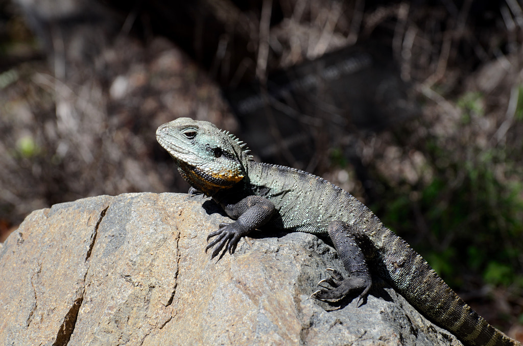 Disapproval by Elizabeth Fitzgerald on 500px.com
