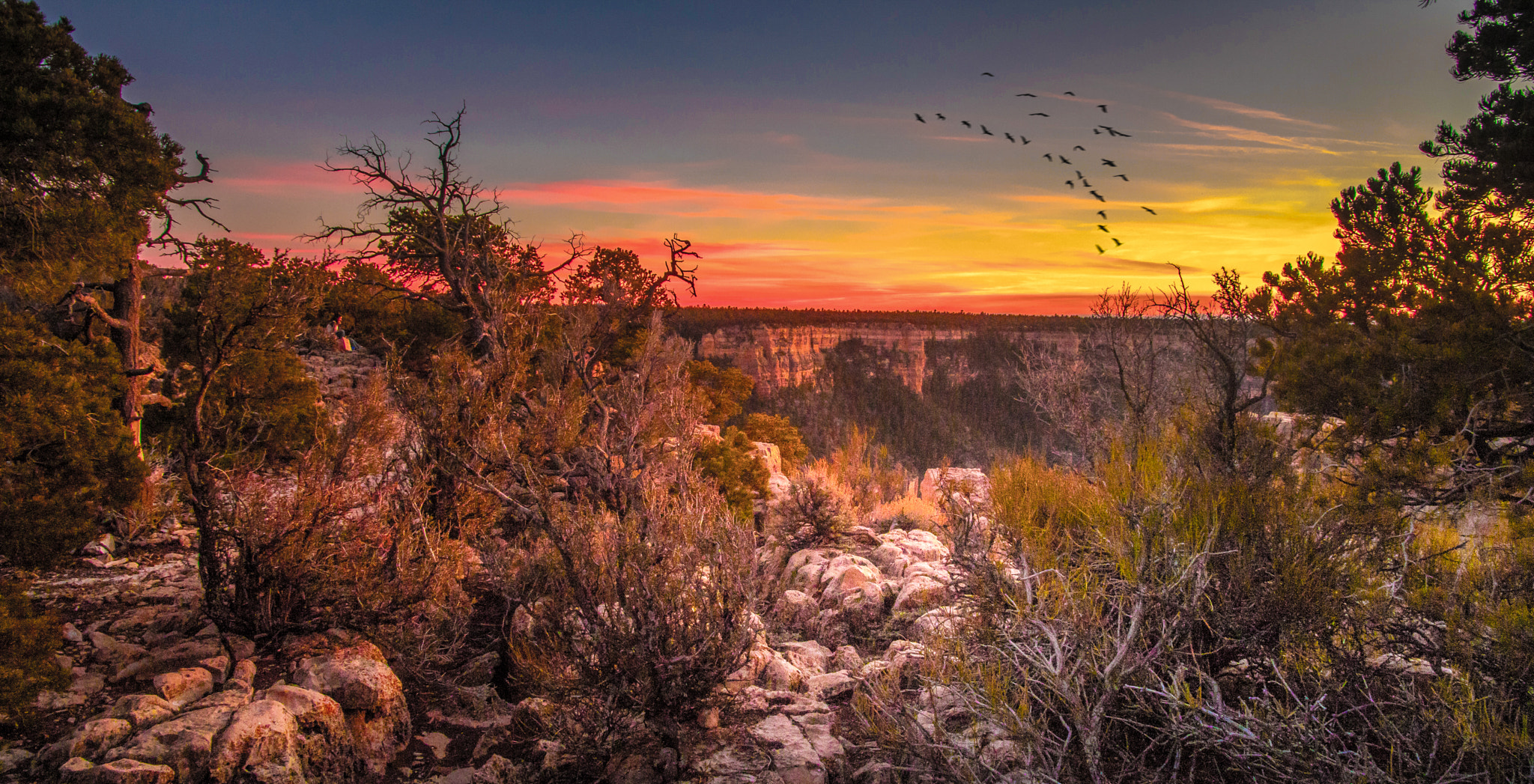 ~ Yaki Point ~