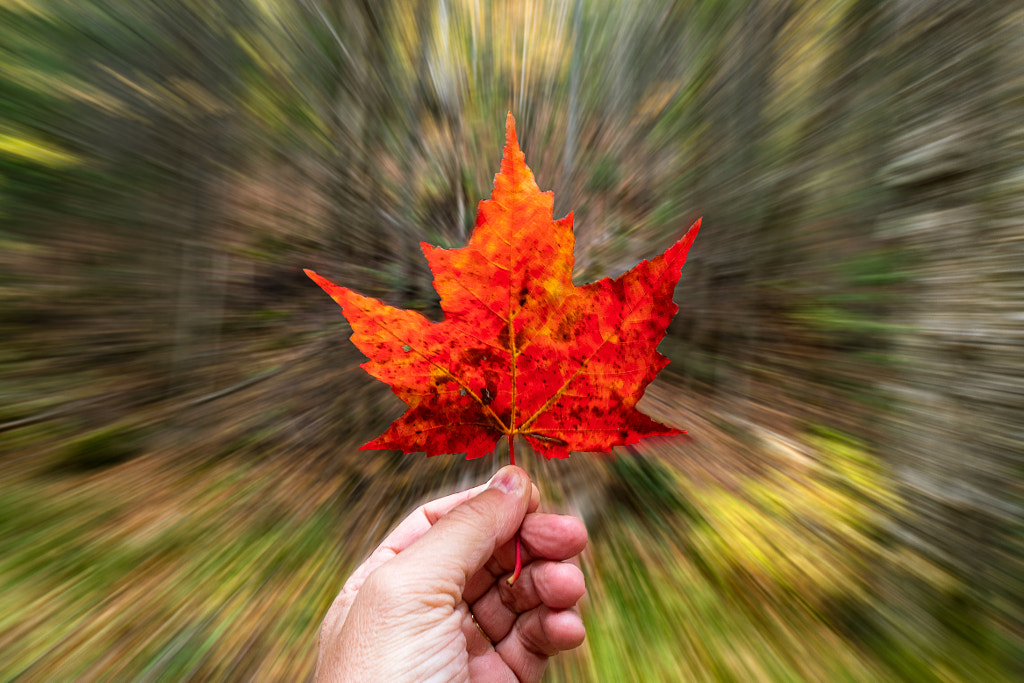 Canada !  by Xavier Coll on 500px.com