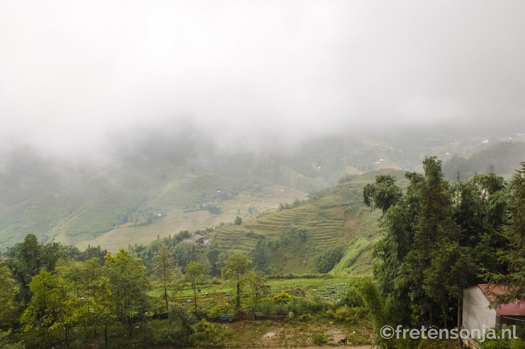 Untitled by www.fretensonja.nl on 500px.com