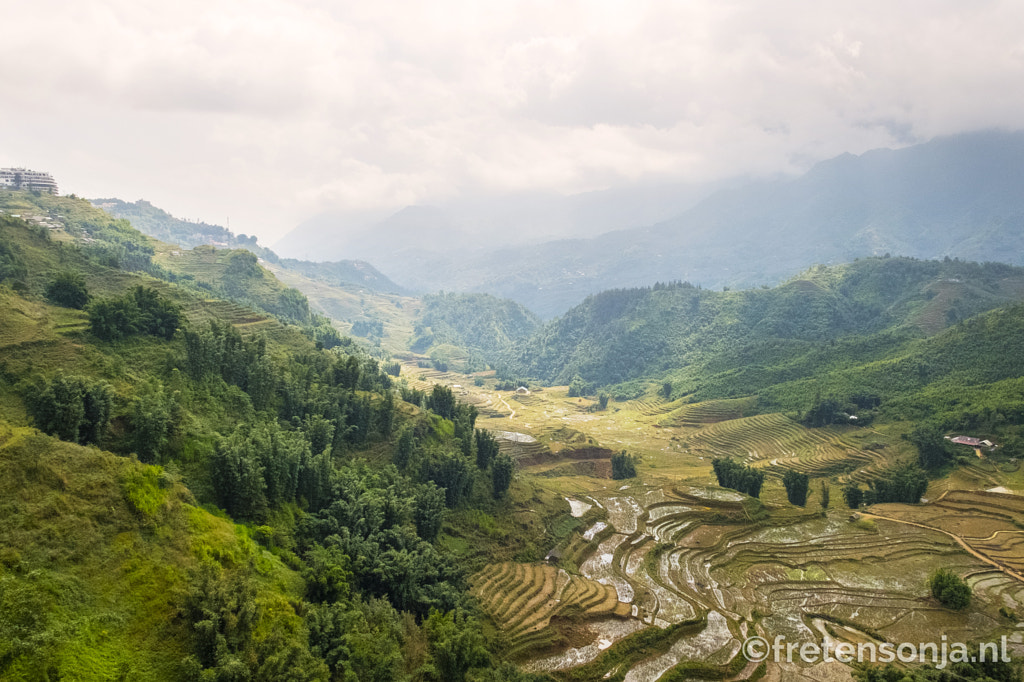 Untitled by www.fretensonja.nl on 500px.com