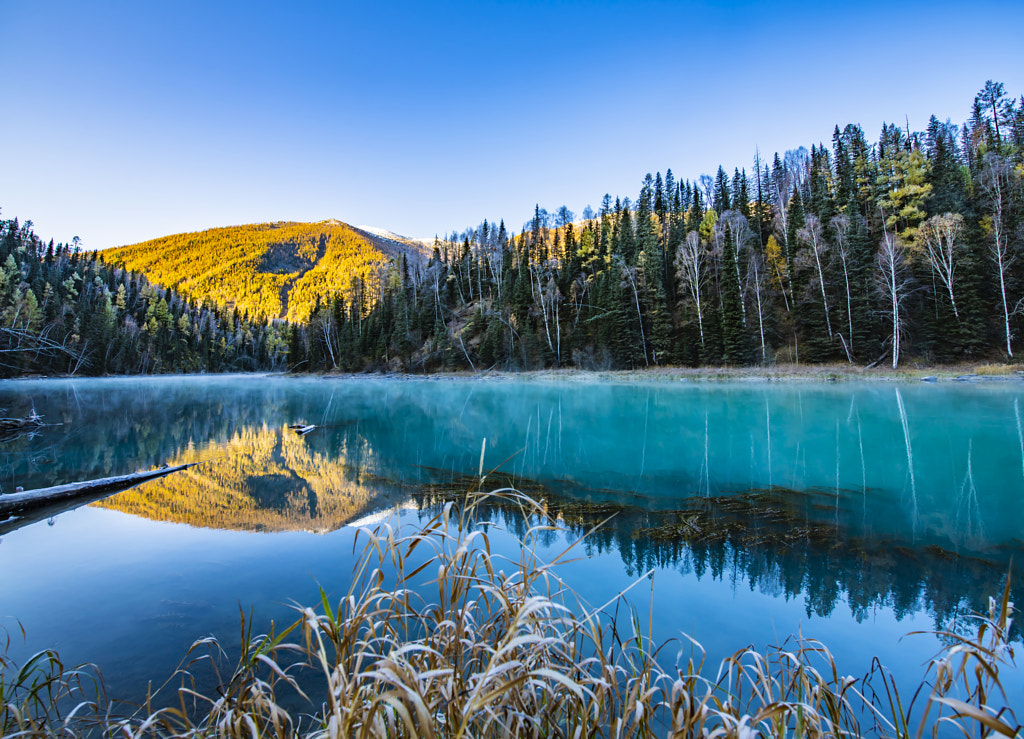 Kanas late autumn morning with early frost by Alfred Zhang on 500px.com