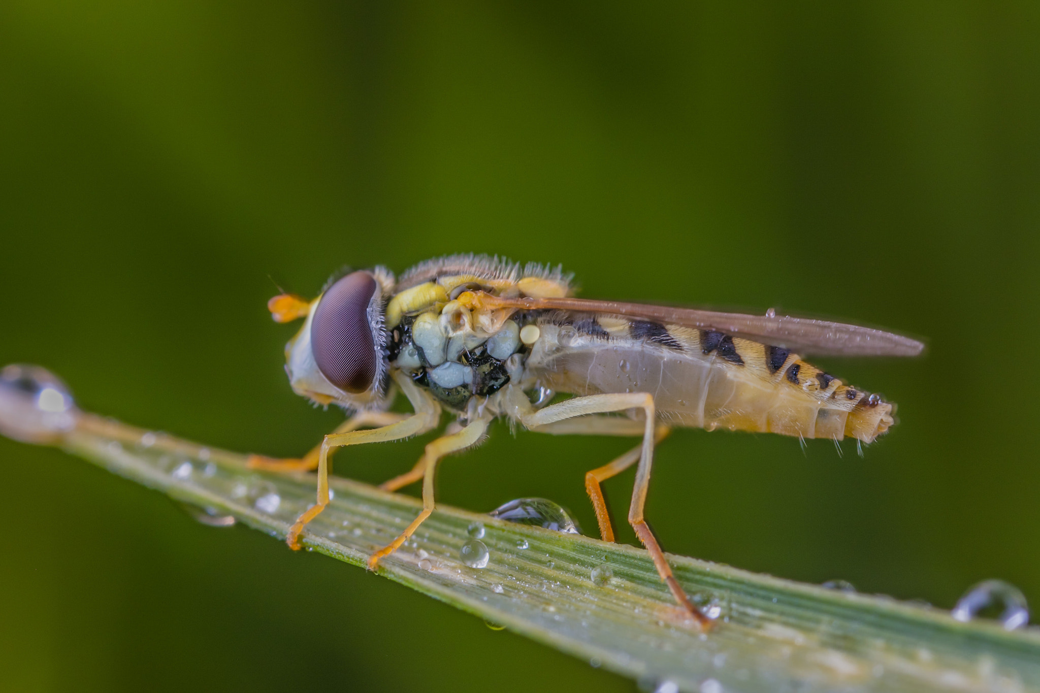 v2?sig=089b9af06a31886c190f75ac9d507725a2e65165fc671c70971a9ac790e28aee