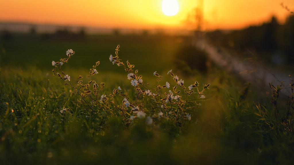 Sunrise along the road by Sven Reitis on 500px.com