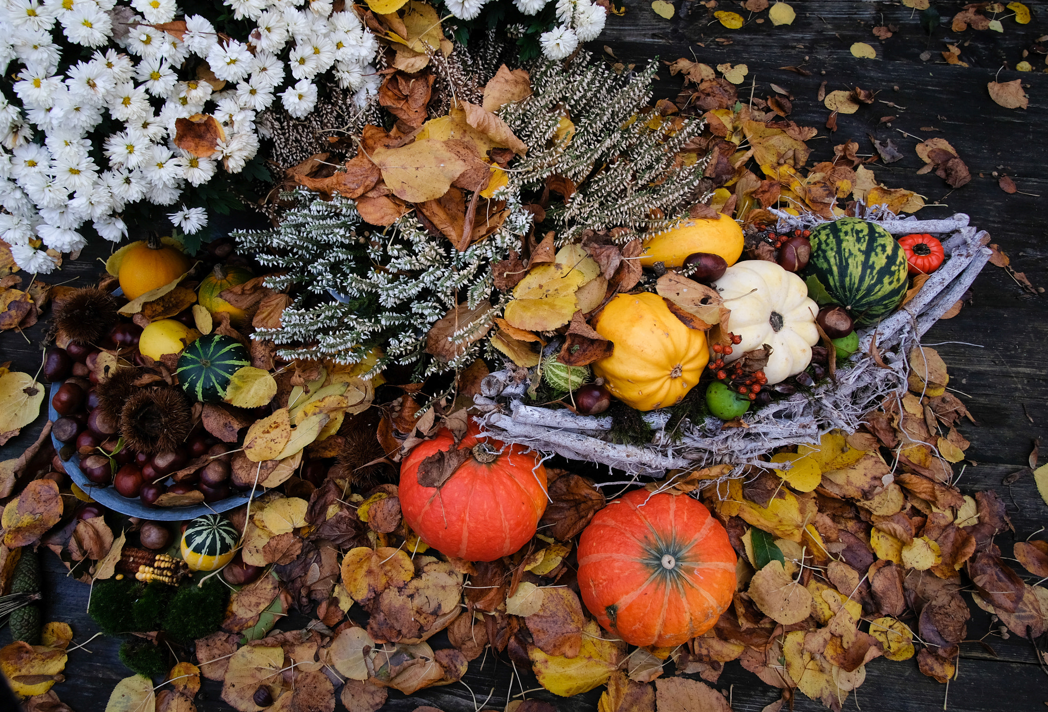 October still-life