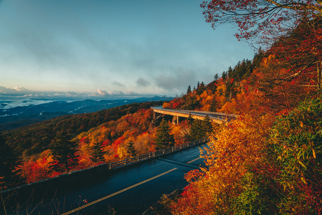 Dream shot by Joshua Herrera on 500px.com