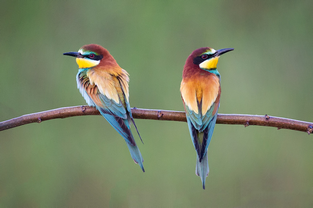 Nothing more to say by Björn Reibert on 500px.com