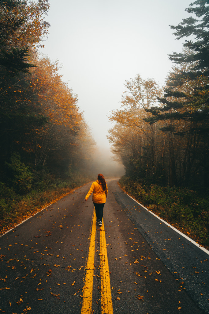 the road less traveled by Joshua Herrera on 500px.com