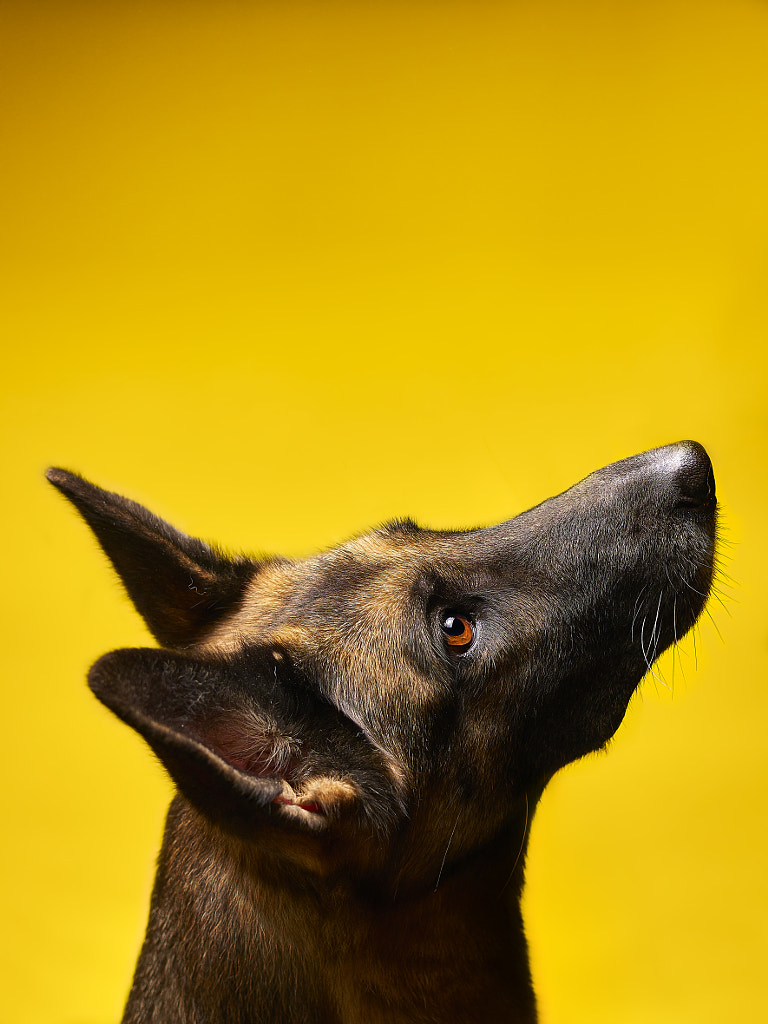 Bonna's portrait by Petar Tutundziev on 500px.com