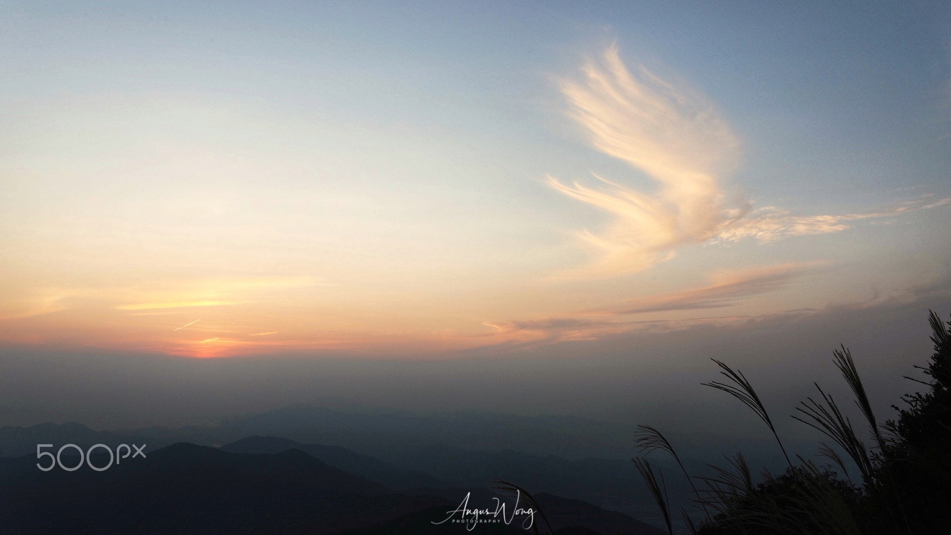 ‘Phoenix’ in Tai Mo Shan