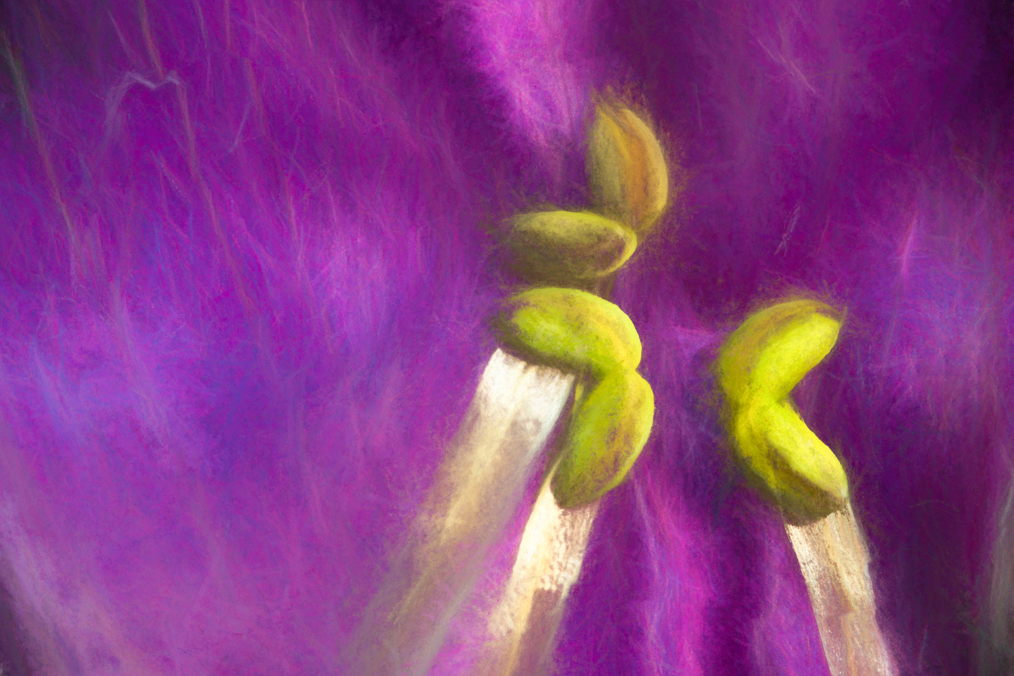 Like a painting by Jan Niezen / 500px