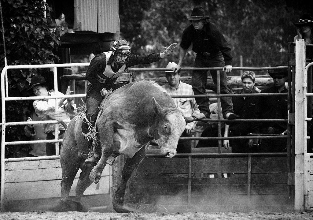 Boddington Rodeo 2006 by Paul Amyes on 500px.com