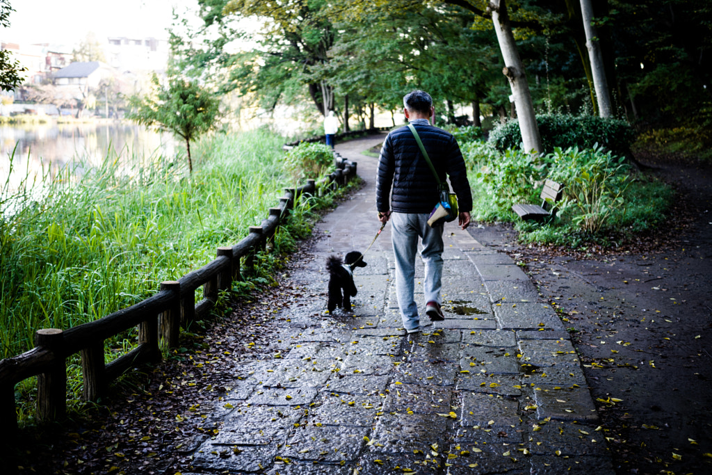 Walking with his dog by Tsukasa Nishiyama | 500px.com