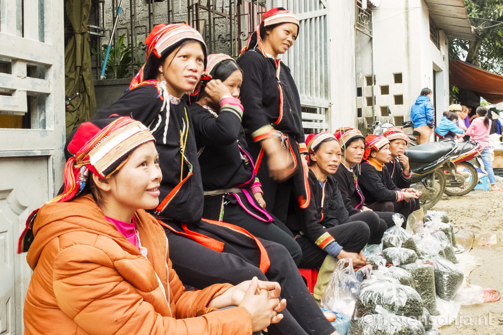 Untitled by www.fretensonja.nl on 500px.com